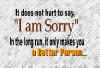 sorry.jpg (109010 bytes)